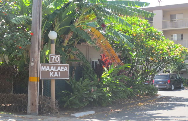 Maalaea Kai 316 1 Bedroom Condo by RedAwning - Foto 19