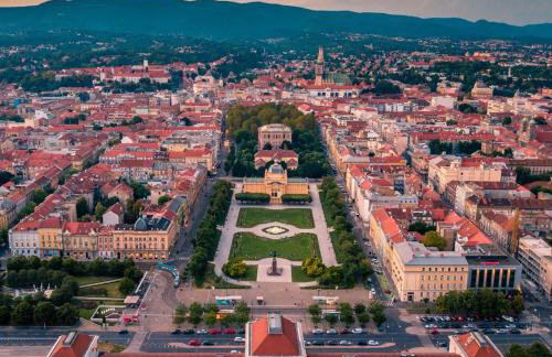 OLIVA 4 STARS - Photo 52