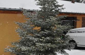 Casa en la Molina - Foto 36