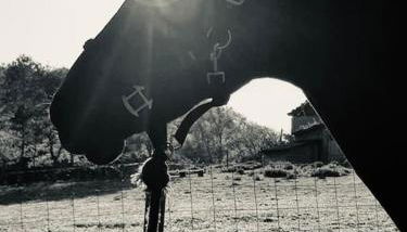 Location maison Mirambeau - 17150 - Foto 2