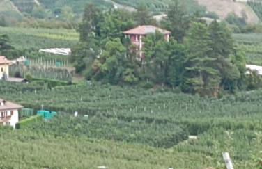 Villa Rosa since 1914, Brenta Dolomite - Foto 17