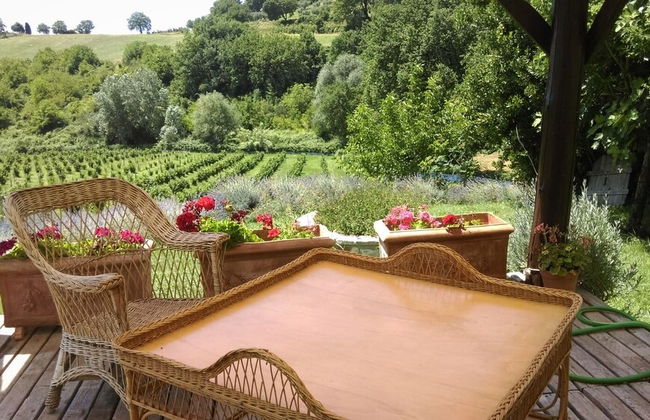 La Nocciolaia - Foto 29