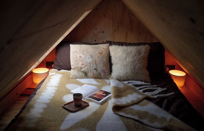 Off-grid Cork Cabin With It's Own Island - Foto 2