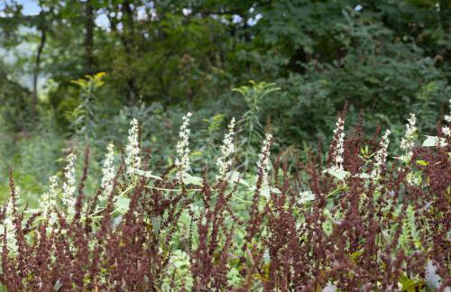 Modern Tiny House with hot tub & river near Stowe - Foto 27