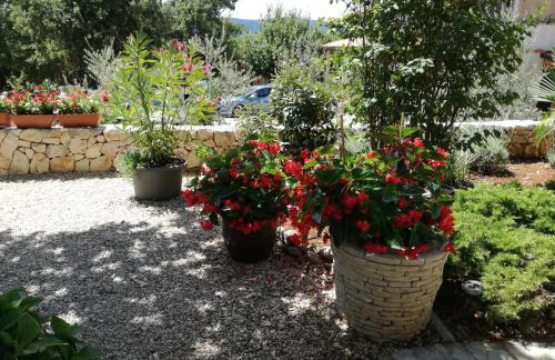 Apartments Barbara - Photo 46