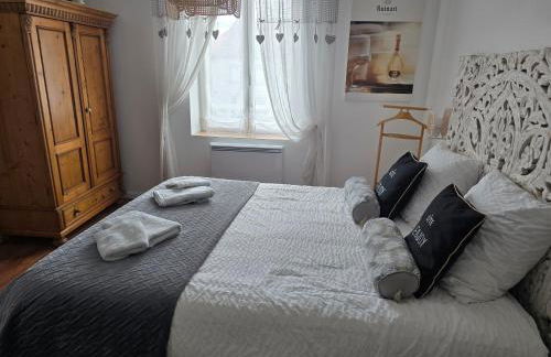 Enjoy en Champagne maison calme au milieu du vignoble avec parking gratuit - Foto 3