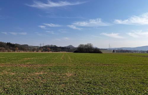 Kinderparadies Alt Lüxem - Foto 25