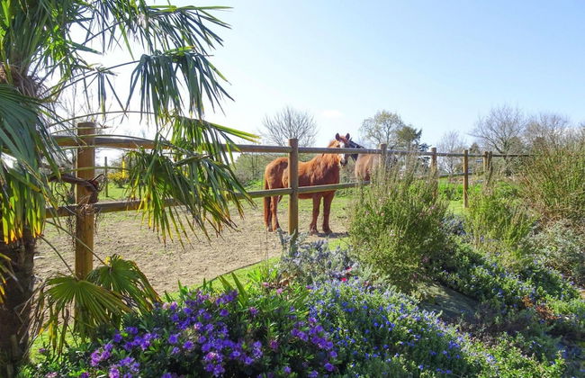 Stone House in Plouezec Near Goelo Coast - Foto 19