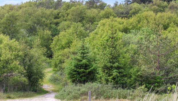 "Ingalise" - 500m from the sea - Foto 4, Outdoor