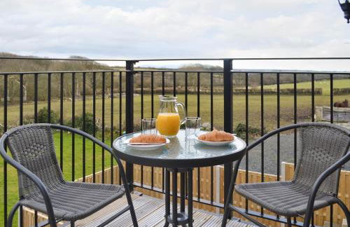 Rhiwal Kitty - Uk6000 - Foto 7