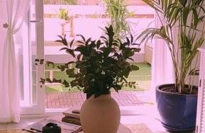 Kentia golf Playa Granada - Foto 10