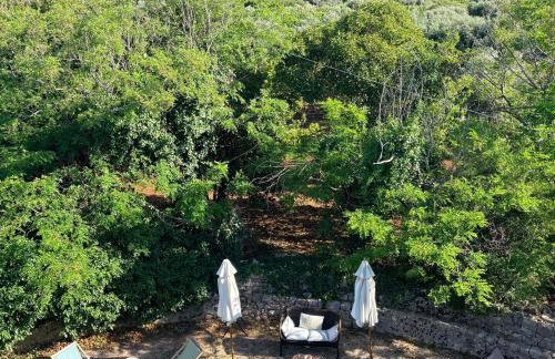 Masseria I Raffi b&b - Foto 5