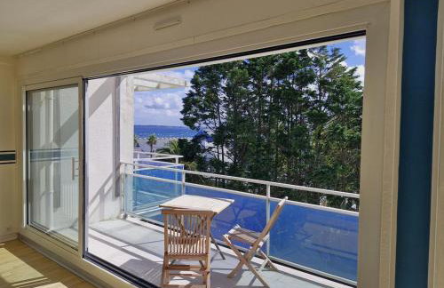 Le Trez', vue mer imprenable - Foto 21