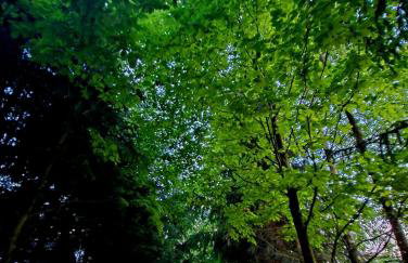 Alpakowy raj - Foto 35