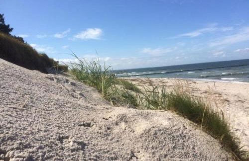 zum Sanddorn - Foto 8