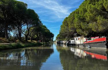 Village villa, private pool, canal du midi - Foto 40