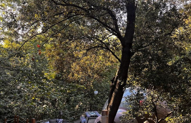 Le Mas Cabanids - Foto 20