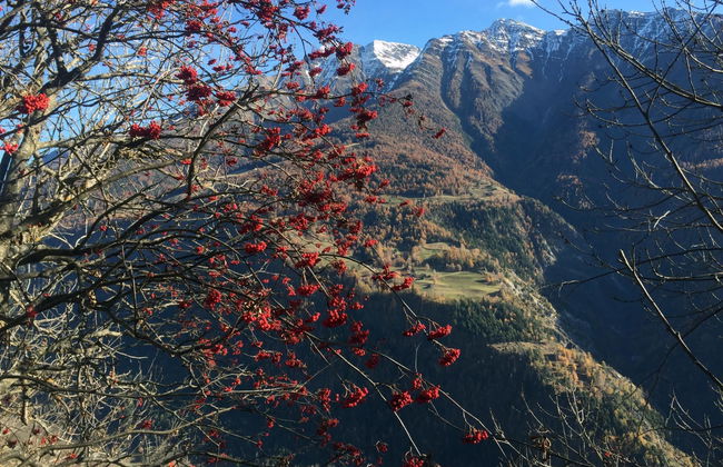 Amici 1. OG West - Foto 58