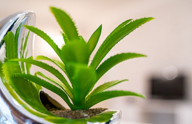 WINWINSTAY Art Nouveau Lumiere Residence - Foto 18