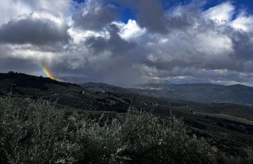Cortijo La Solana Montefrío - Foto 29