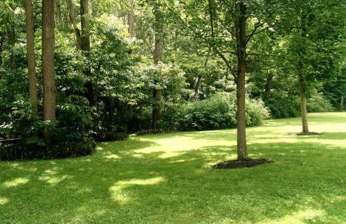 Riverfront Cabin Rental with a Private Beach on Youghiogheny River near Pittsburgh, Pennsylvania - Foto 16