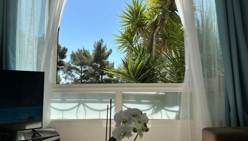 Appartement neuf, 2 chambres, climatisé, route des Sanguinaires - Foto 3