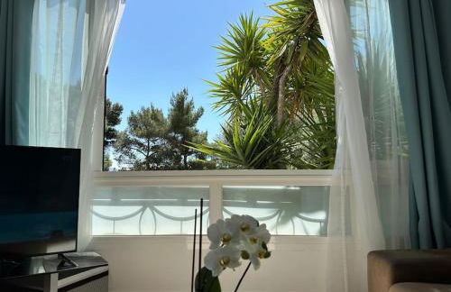 Appartement neuf, 2 chambres, climatisé, route des Sanguinaires - Foto 3