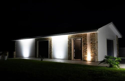 Puerto Franco - Foto 30