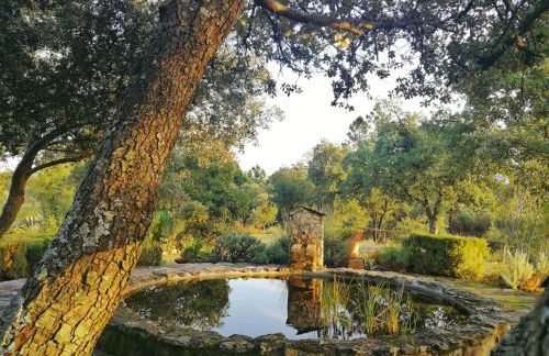 La Simona Casa Rural - Foto 22