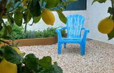 Quinta do Ti Vasco - Foto 8