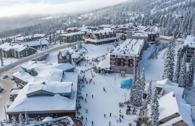 Winter Escape On Perfection Pool Hot Tub - Photo 13