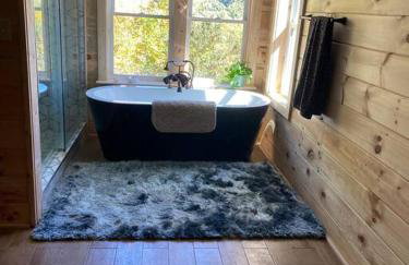 Cabin with a view in Hot Springs—walk to AT - Foto 15