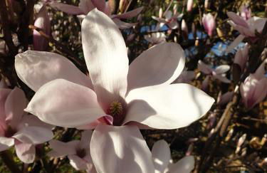 Chez Émile maison d'hotes 2 chambres avec jardin privé - Foto 45