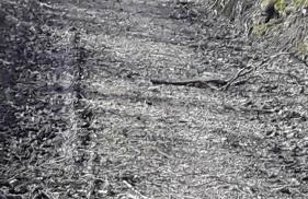 Köppl Katrin - Photo 8