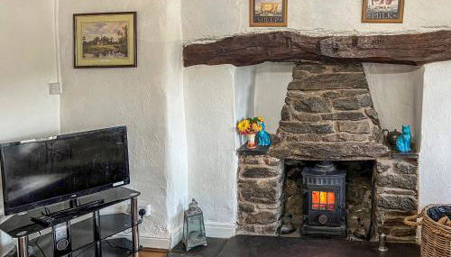 Fedwr Gog Cottage - Foto 4