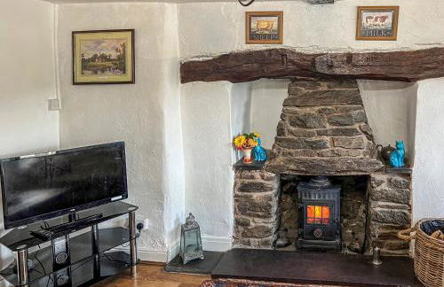 Fedwr Gog Cottage - Photo 4