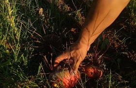 Masseria Murrieri Vecchio, Salento - Foto 46