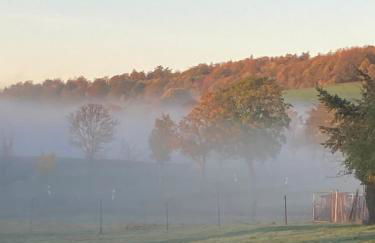 Zur Streuobstwiese - Foto 10