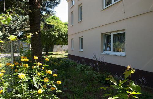 Gospodarstwo Agroturystyczne w Borszycach - Foto 30