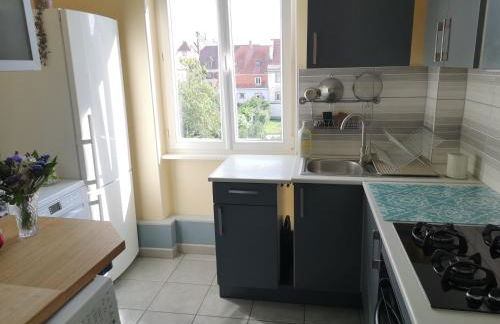 Colmar Friends and Familly guest home - ALL INCLUSIVE - COLMAR Gare - Jardin - Combles et Vous - Foto 30