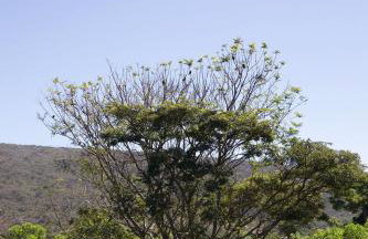 Refúgio na Lapinha com dois chalés, ideais para casal, família ou pequeno grupo de amigos, com acesso privativo à lagoa, caiaques e quadra de beach tennis - Foto 76