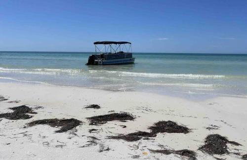 Swimming, Boating, Fishing on Gulf & Heated pool - Foto 77