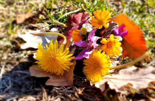 CasaLeaPacentro - Foto 2