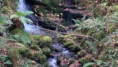 Casa rural Espinareu - Foto 2