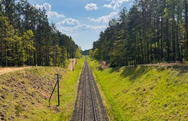 Forest Mood - Foto 62