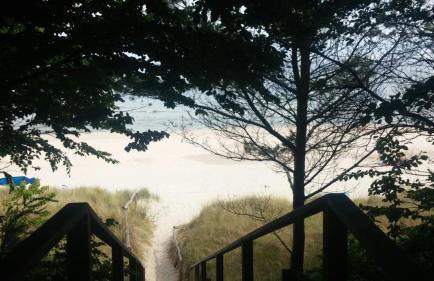 Ferienwohnung Rügen-Freiheit - Foto 34