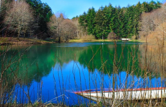 Ferienwohnung mit Balkon im Schwarzwald - Foto 35