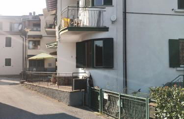 Gli Aristogatti - Foto 24