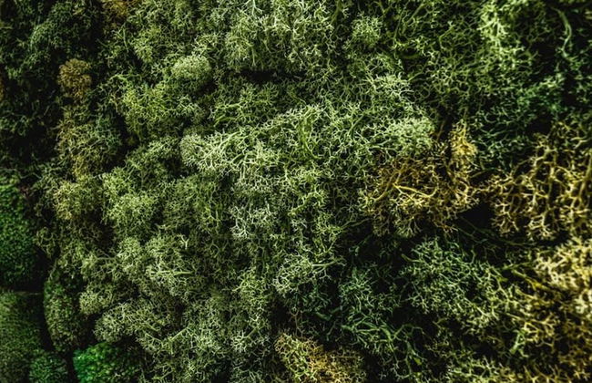 Chalet Amadeus - Designer Luxury Chalet for 14 - Foto 48