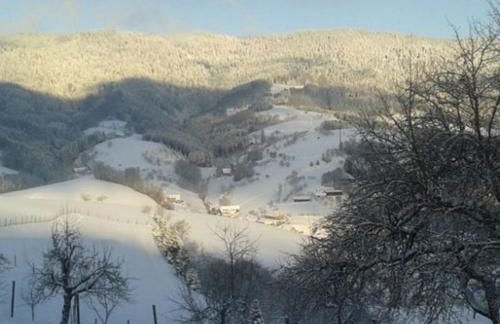 Ferienwohnung Brandenkopf - Foto 18